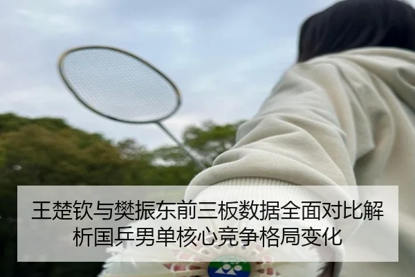王楚钦与樊振东前三板数据全面对比解析国乒男单核心竞争格局变化